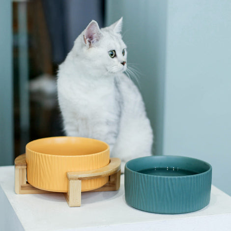 Pet Bowls &amp; Feeders