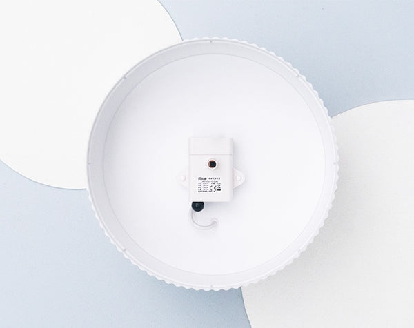 Cat drinking fountain