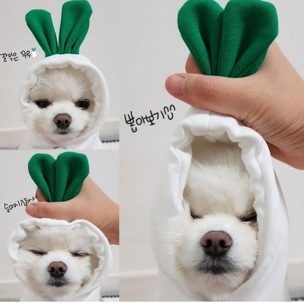Dog Autumn And Winter Clothing Small And Medium Dog Love Two Legged Cat Cute Pet Clothing - Gusto Illusions