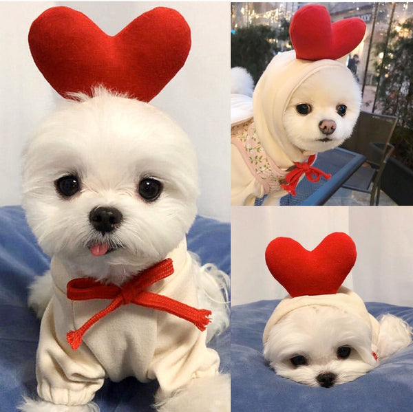 Dog Autumn And Winter Clothing Small And Medium Dog Love Two Legged Cat Cute Pet Clothing - Gusto Illusions