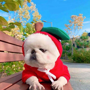 Dog Autumn And Winter Clothing Small And Medium Dog Love Two Legged Cat Cute Pet Clothing - Gusto Illusions