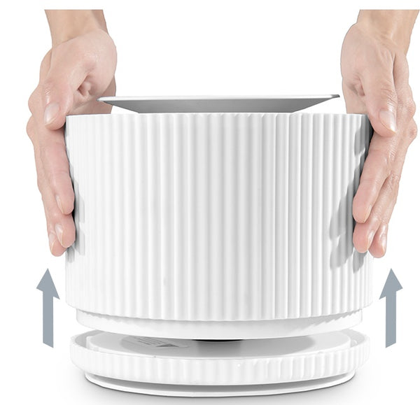 Cat drinking fountain