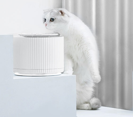Cat drinking fountain