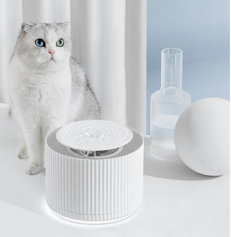 Cat drinking fountain
