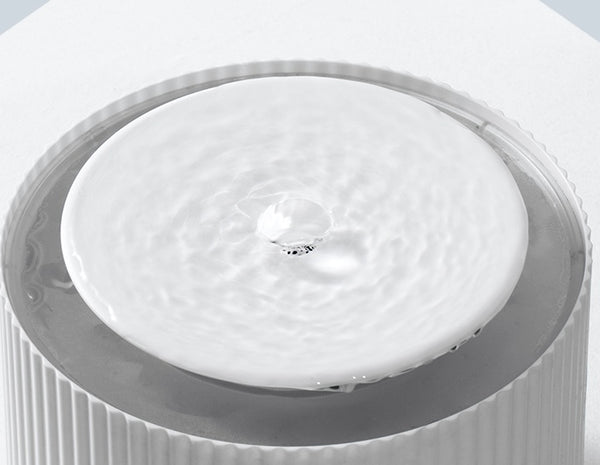 Cat drinking fountain