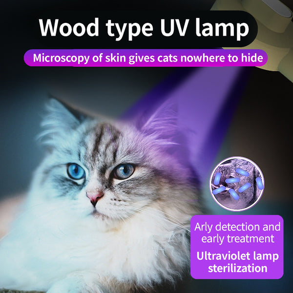 Pet Germicidal Sterilizing Comb Usb Rechargeable Cat Dog Automatic Hair Removal Brush Floating Beauty Comb Grooming Tool - Gusto Illusions