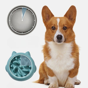 Pet Dog Cat Slow Feeder Bowls Anti Choking Slow Feeder Dish Bowl Home Dog Eating Plate Anti Gulping Bowl Supplies - Gusto Illusions