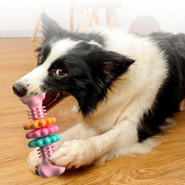 Dog Chew Toy Dog Bone Type  Dogs Teeth Cleaning Toys Indestructible TPR Bone Chewing Bite Resistant Teething Toys  Pet Products - Gusto Illusions
